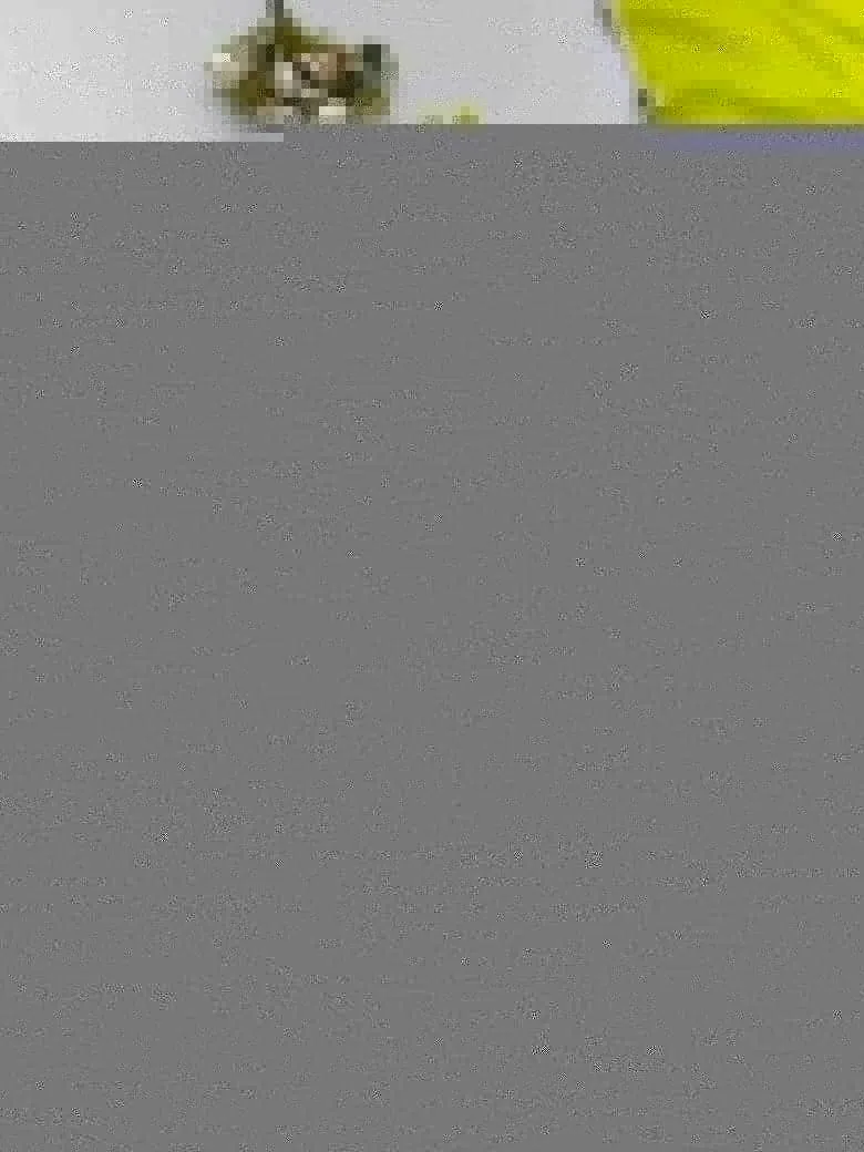 Design Number 2079 2